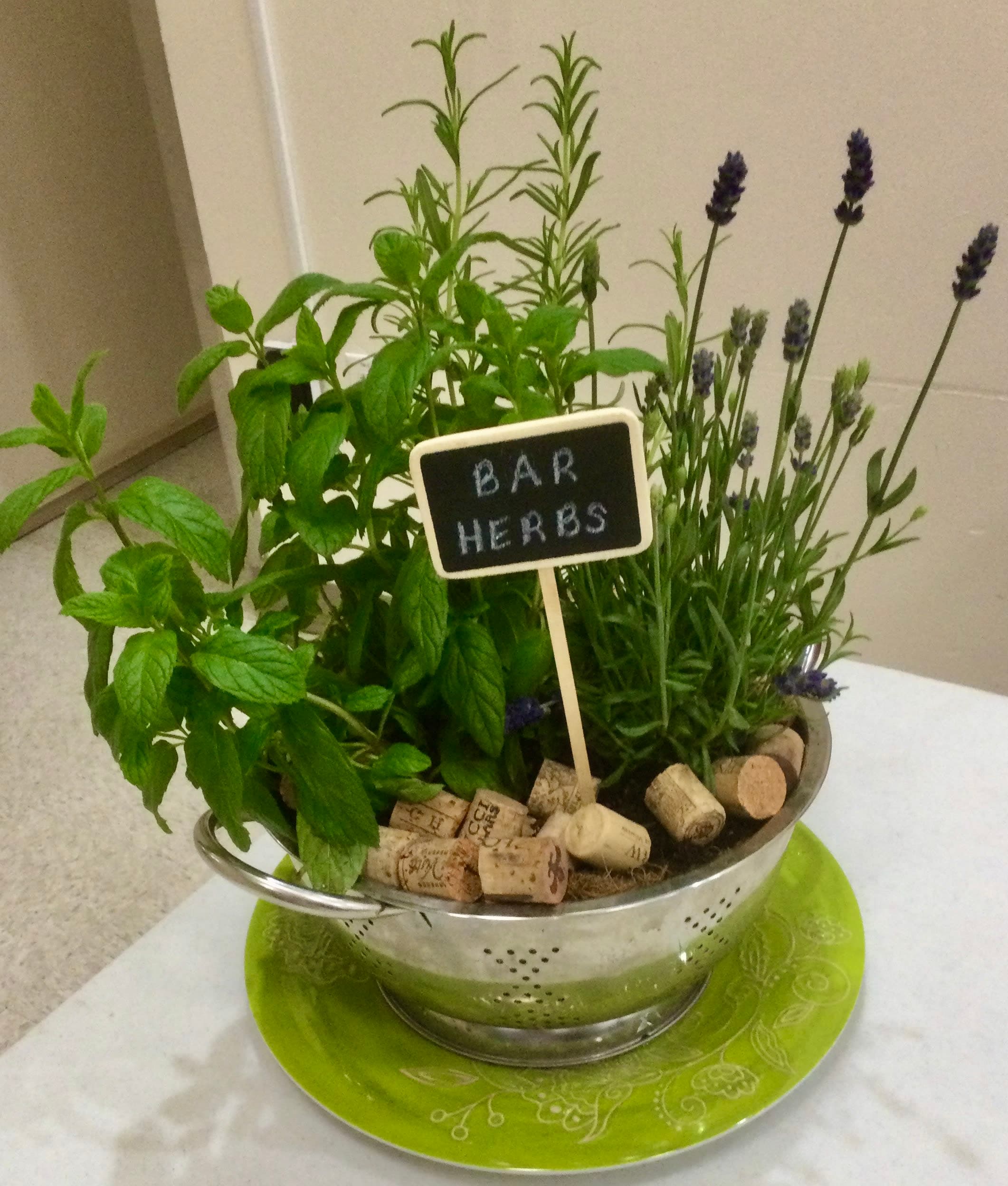 A potted plant with a sign that says bar herbs