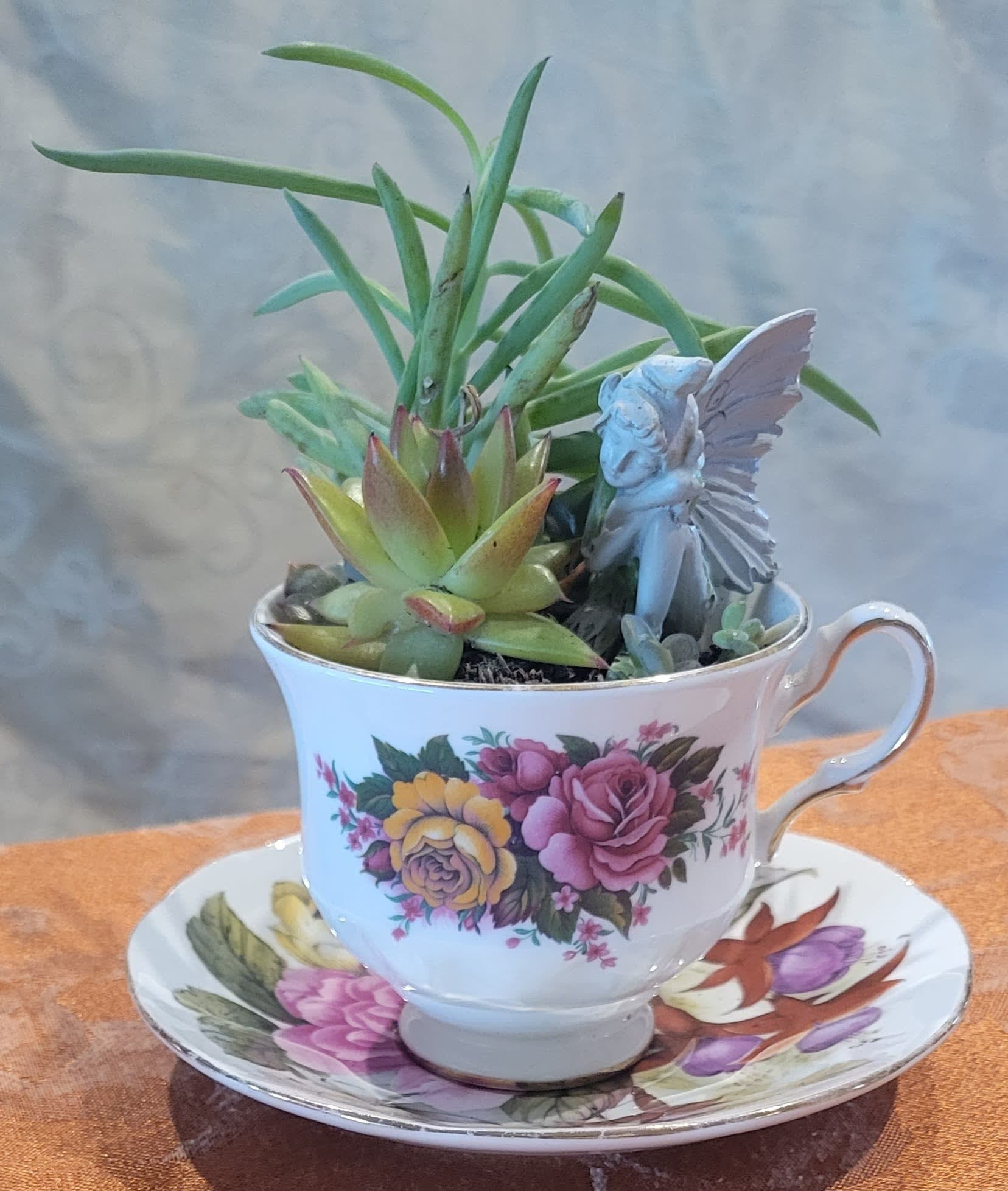 A cup filled with succulents on top of a saucer